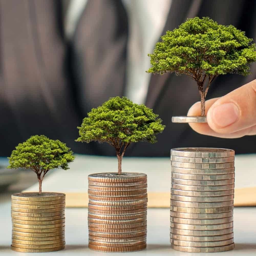 Investment Services